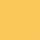 Transparency Watercolours- Pebbles Sunhsine (Sold By 1/2 Meter)